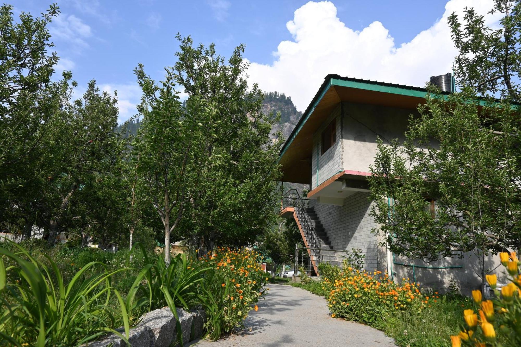Bed and breakfast Cascade Mountain Retreat Manali Extérieur photo