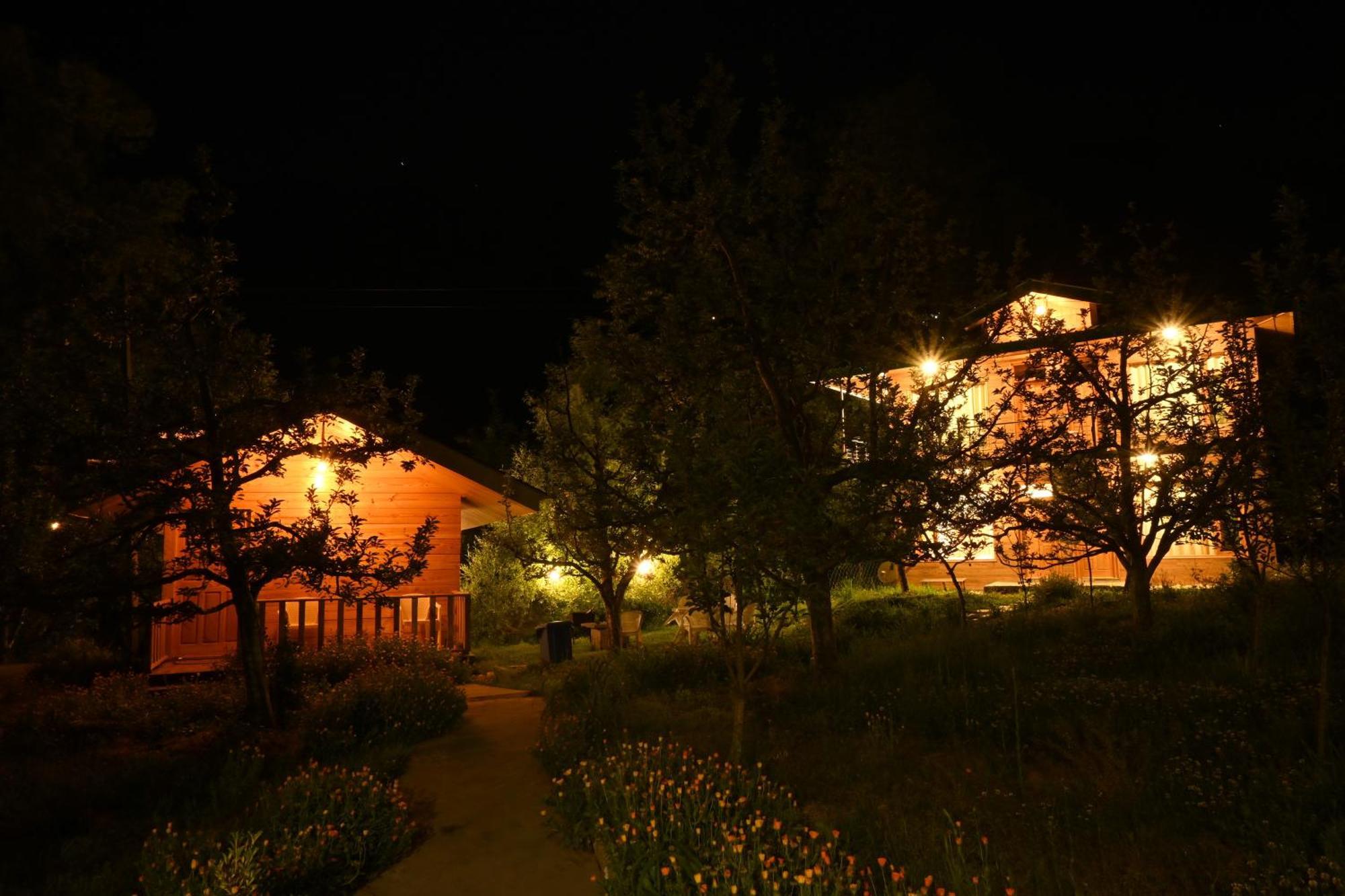 Bed and breakfast Cascade Mountain Retreat Manali Extérieur photo