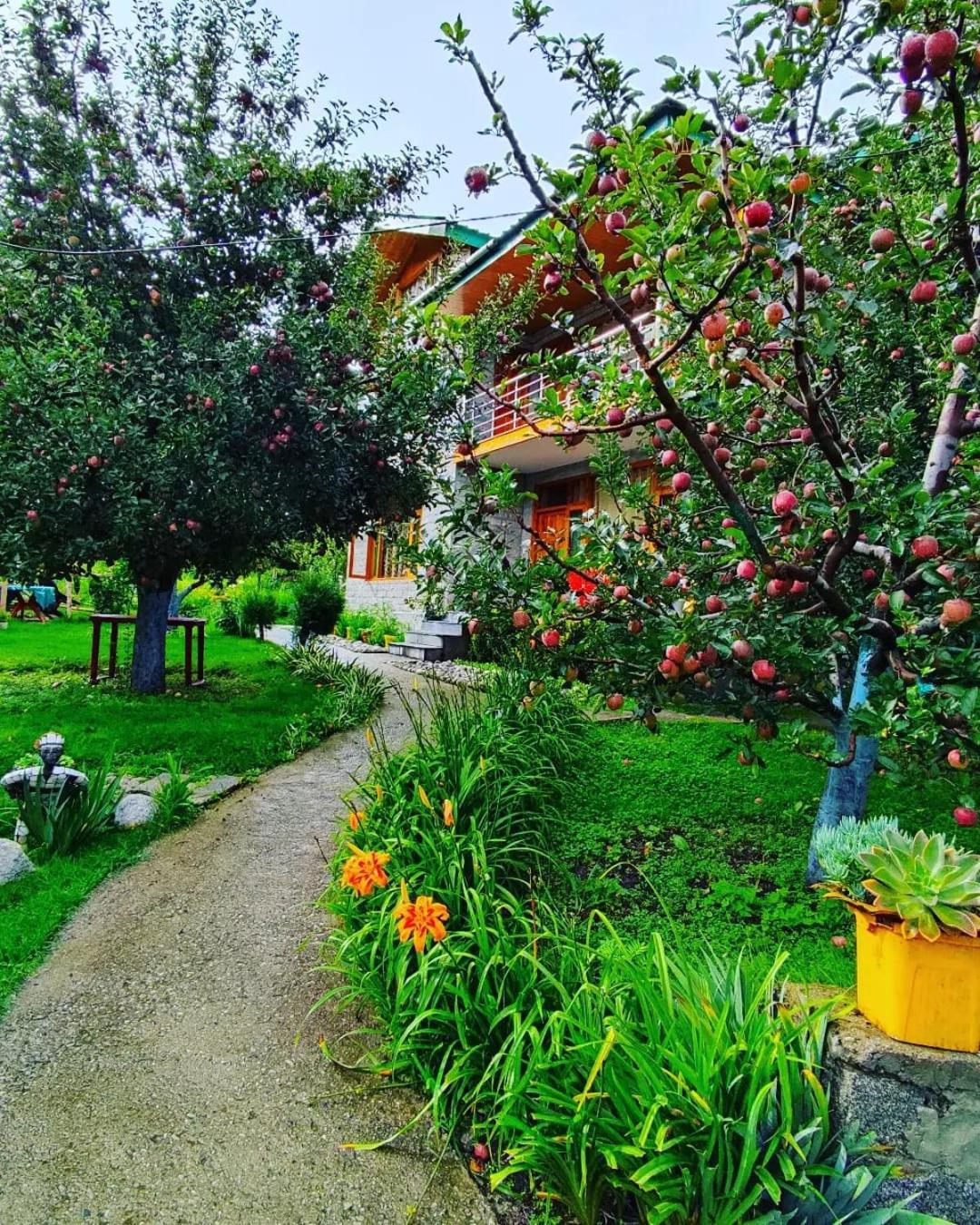 Bed and breakfast Cascade Mountain Retreat Manali Extérieur photo